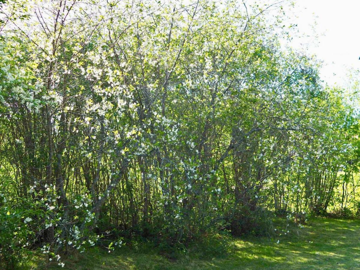Вилла Orsastuguthyrning-Kyrkbyn Экстерьер фото